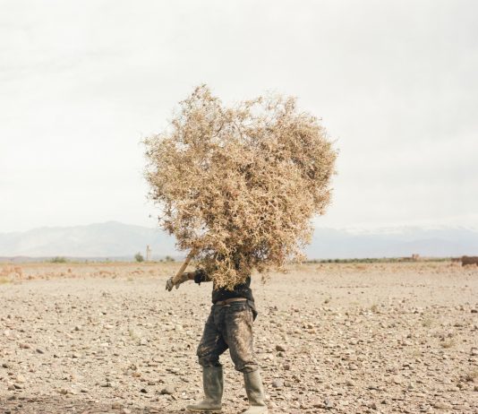 LagosPhoto Festival 2023, la fotografia internazionale tra Nigeria e Benin