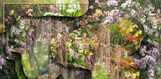 Tra immagine e Intelligenza Artificiale, al Photovogue Festival 2023