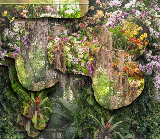 Tra immagine e Intelligenza Artificiale, al Photovogue Festival 2023