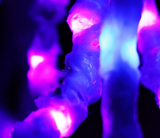 Indagini sul confine a Roma. La mostra negli spazi di ExGarage