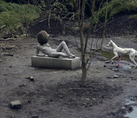 Il 2024 a Palazzo Grassi e Punta della Dogana: le mostre di Pinault Collection