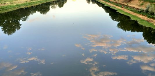 Premio Scripta per la giovane critica d’arte: aperte le candidature