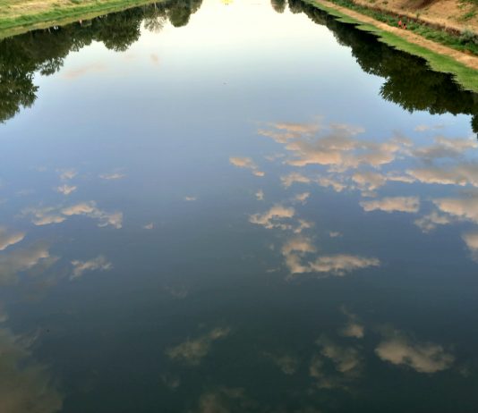 Premio Scripta per la giovane critica d’arte: aperte le candidature