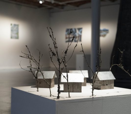 Dripping Cavities: dalla Finlandia i panorami complessi e articolati di Valentina Gelain e Bekim Hasaj