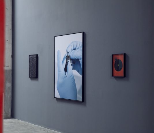 Mezza luce di Mattia Balsamini, un viaggio nella penombra di forme e visioni mattia balsamini