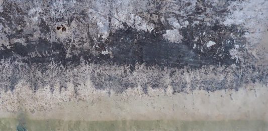 Prelievi dal Tevere, tra arte e scienza: Roberto Ghezzi alla Galleria Nazionale di Roma