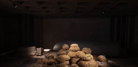 “Mudballs: Hands-on Experience with Augustas Serapinas”: inaugura la terza stagione di FOROF