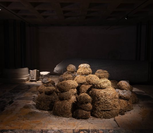 “Mudballs: Hands-on Experience with Augustas Serapinas”: inaugura la terza stagione di FOROF