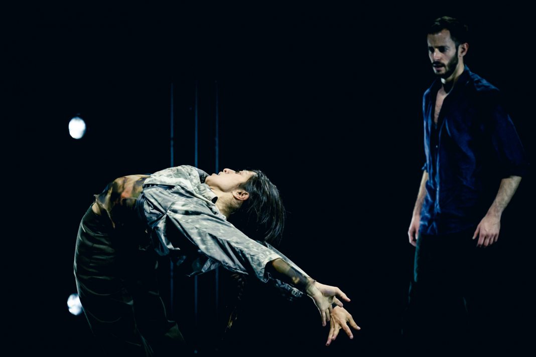 1 AMAE ©David Kalwar AMAE © David Kalwar