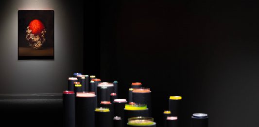 Enrico Minguzzi Animali da fiore dal 15 dicembre 2023 al 17 marzo 2024 alla Pinacoteca San Francesco, Città di San Marino