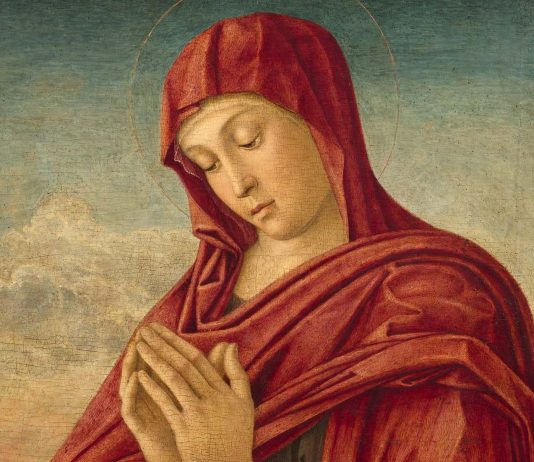 La Madonna Sorlini di Giovanni Bellini è in mostra a Venezia