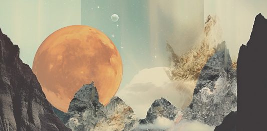 Arte e mondo naturale: il programma 2024 del MAN di Nuoro