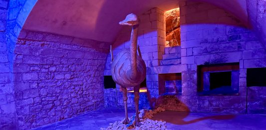 C’era una volta, nel cuore del Salento: Short Fairy Tales for Adults di Driant Zeneli