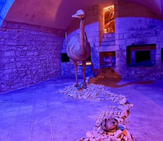 C’era una volta, nel cuore del Salento: Short Fairy Tales for Adults di Driant Zeneli