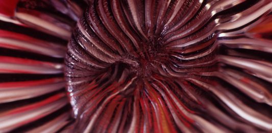 Appunti fotografici di Luigi Ferrigno: uno sguardo profondo sulla Venezia contemporanea