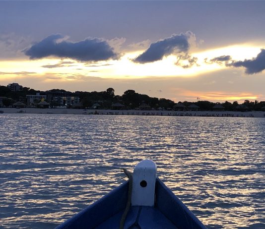 Voci dall’Amazzonia brasiliana: intervista a Sergio Racanati Sergio Racanati, DEBRIS/DETRITI_Amazzonia 2022-2023. Production image per la ricerca artistica, vincitore dell'Italian Council, indetto dalla Direzione Generale Creatività Contemporanea Ministero della Cultura, © & courtesy the artist and CAPTA.