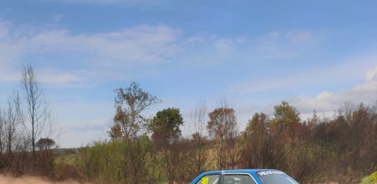 Other Identity #96. Altre forme di identità culturali e pubbliche: Stephie Grape Stephie Grape