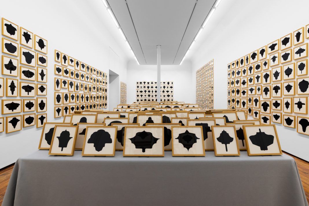 Allan McCollum, Minime Variazioni, Galleria Fumagalli, Milano, 2024. Foto ©LucreziaRoda. Courtesy Galleria Fumagalli