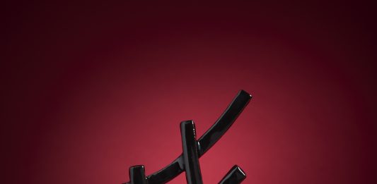 Fausta Bonfiglio: memorie di una ceramista in un mondo di maschi