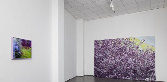 Il 2024 del MACTE di Termoli, tra Italo Calvino e il contemporaneo Irene Fenara, Supervision (Leaves and other blurrings), 2021, 63 Premio Termoli, Museo MACTE, Termoli 2023. Foto © Gianluca Di Ioia