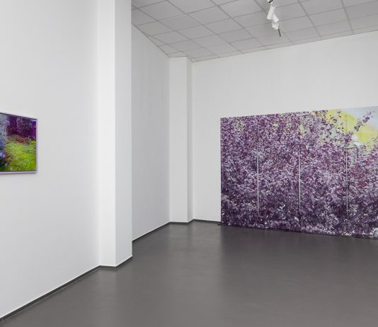 Il 2024 del MACTE di Termoli, tra Italo Calvino e il contemporaneo Irene Fenara, Supervision (Leaves and other blurrings), 2021, 63 Premio Termoli, Museo MACTE, Termoli 2023. Foto © Gianluca Di Ioia