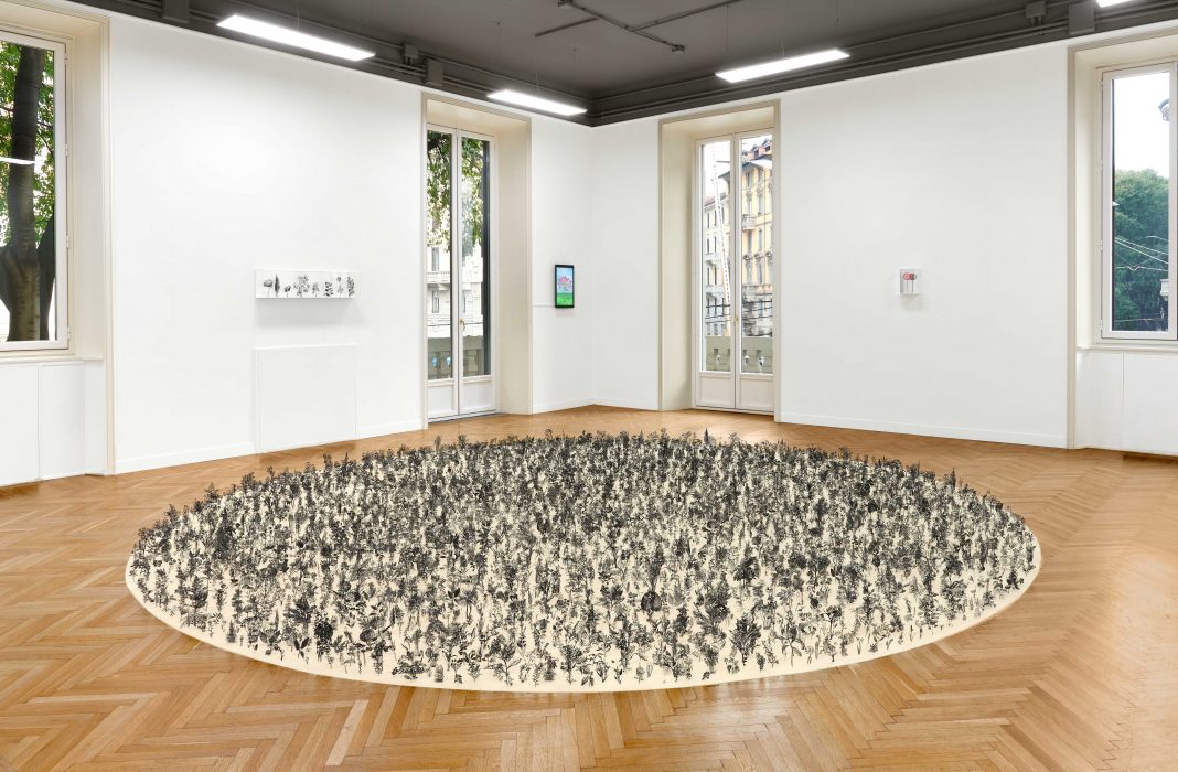 Natural Reserve, Zadok Ben-David da Nashira Gallery