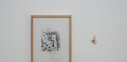 Curatela e responsabilità: il talk alla Galleria Mondoromulo di Benevento