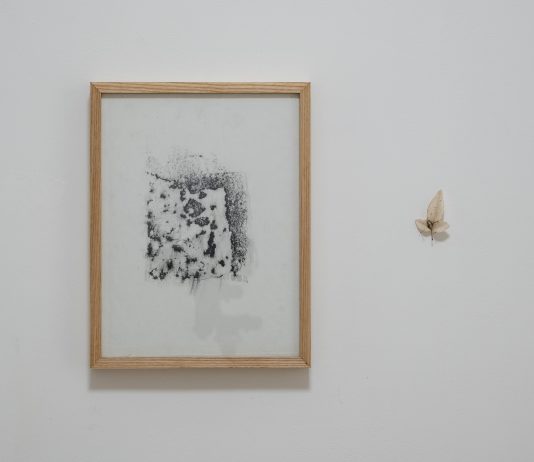 Curatela e responsabilità: il talk alla Galleria Mondoromulo di Benevento