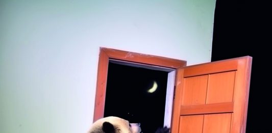 Arte contemporanea, ma anche design e cinema: ecco come sarà la fiera milanese miart 2024