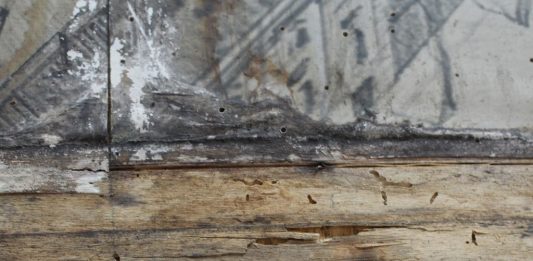 Restauri Svelati: il volume che fa il punto sulla formazione accademica