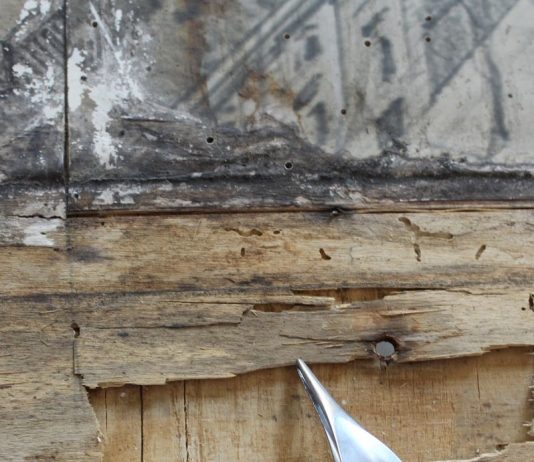 Restauri Svelati: il volume che fa il punto sulla formazione accademica