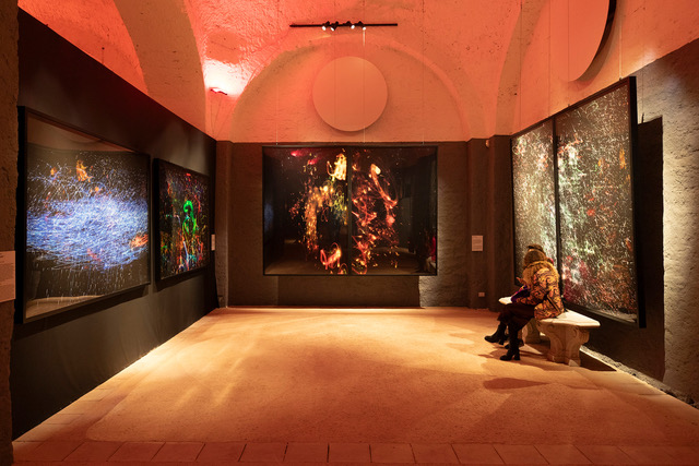 Mario Amura, Napoli Explosion, veduta della mostra, Museo e Real Bosco di Capodimonte, Napoli, 2023-2024