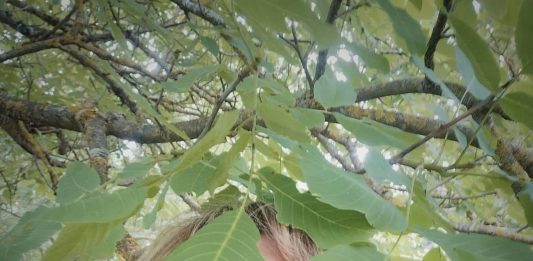 Other Identity #99. Altre forme di identità culturali e pubbliche: Letizia Marabottini