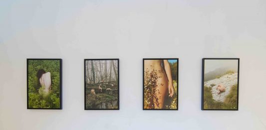 Trasfigurazioni Umane la doppia personale di Federico Masini e Aldo Dolcetti dal 15 febbraio al 7 marzo al Contemporary/Space “Macario” di Artàporter a Torino