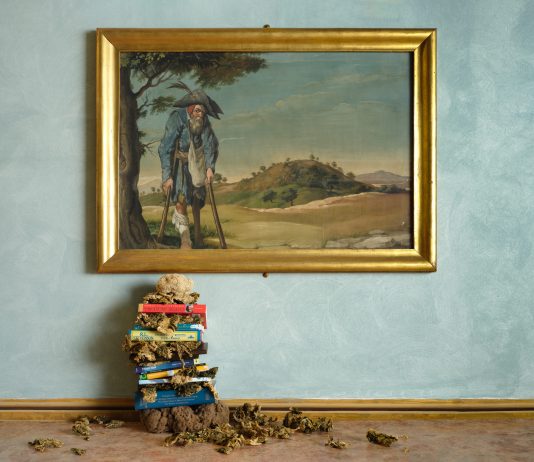 Epifanie e dialoghi di Petra Feriancová a Palazzo Collicola di Spoleto Untitled, Petra Feriancová, 2023, veduta della mostra, Palazzo Collicola, Spoleto, photo credits Giuliano Vaccai