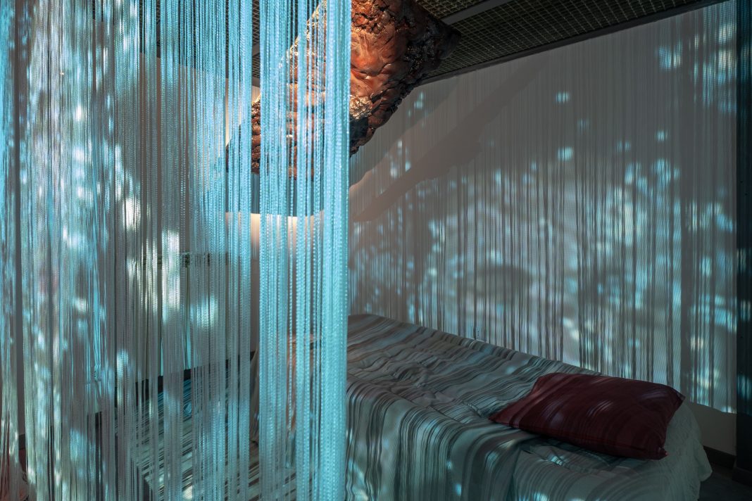 StudioHomeAwareness, Esogenesi, Giorgia Grassi, installation view, 2023, photo by keizo_ueno