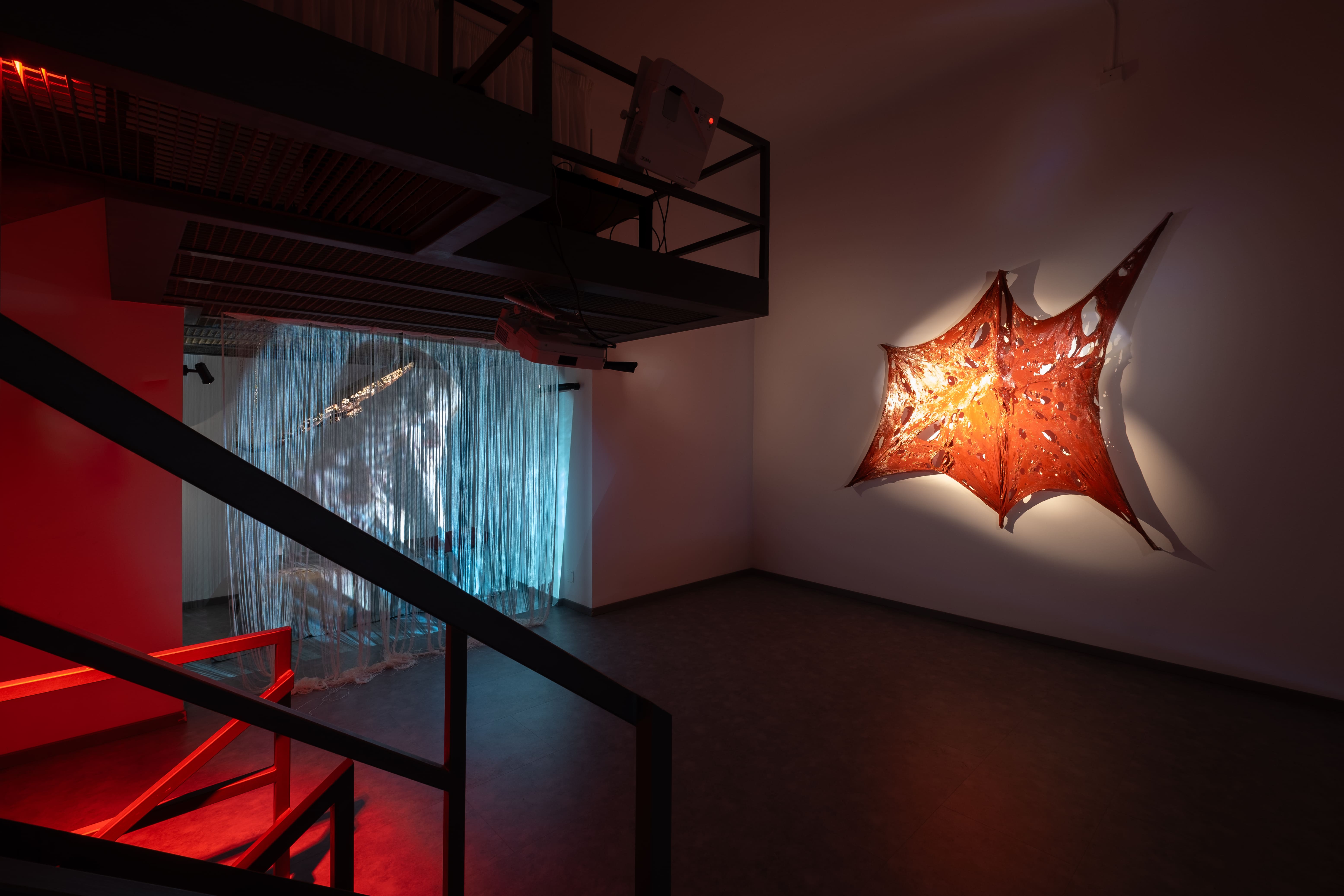 StudioHomeAwareness, Esogenesi, Giorgia Grassi, installation view, 2023, photo by keizo_ueno