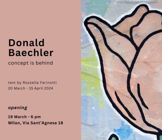 Donald Baechler – Concept is behind