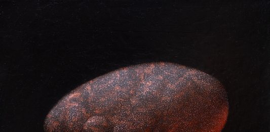 Animali da fiore: la pittura di Enrico Minguzzi prende vita a San Marino