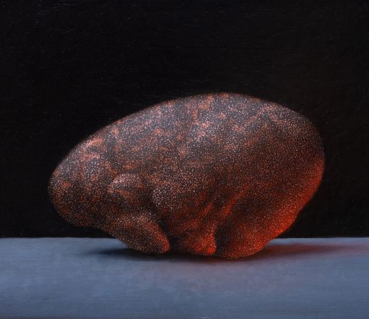 Animali da fiore: la pittura di Enrico Minguzzi prende vita a San Marino