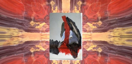 Biennale di Venezia 2024: il Padiglione Francia di Julien Creuzet parte dalla Martinica