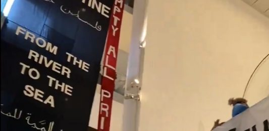 800 manifestanti filopalestinesi hanno occupato il MoMA di New York