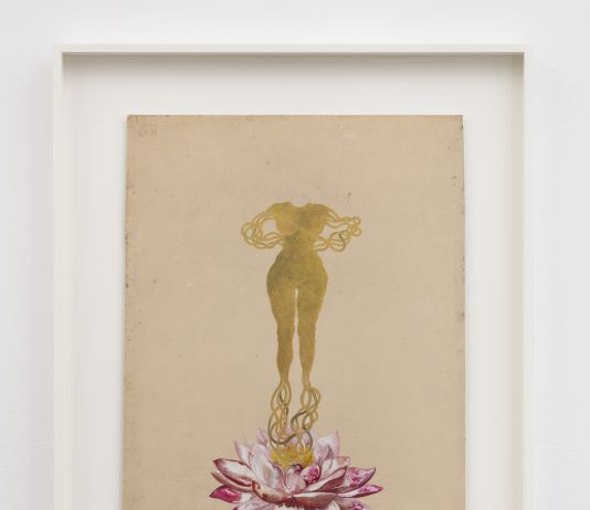 Lo sguardo transnazionale di Shahzia Sikander: Collective Behavior