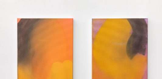 Vita intima di colore e forma: opere di Claudio Coltorti in mostra da Acappella, Napoli Claudio Coltori, dittico, veduta della mostra Terza Serie, Galleria Acappella, Napoli, 2024