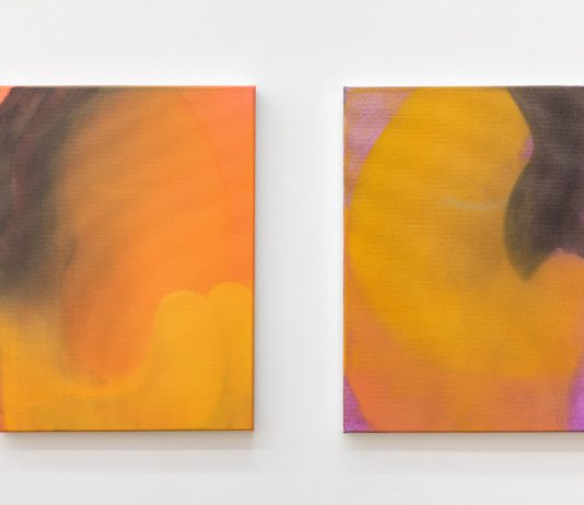 Vita intima di colore e forma: opere di Claudio Coltorti in mostra da Acappella, Napoli Claudio Coltori, dittico, veduta della mostra Terza Serie, Galleria Acappella, Napoli, 2024