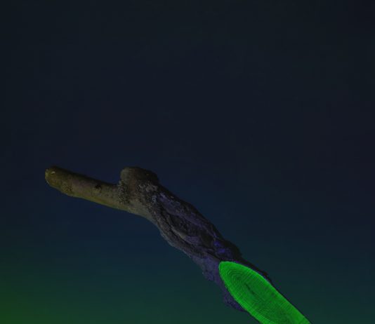 Design Milano: gli eventi del Fuorisalone 2024 che si intrecciano con l’arte