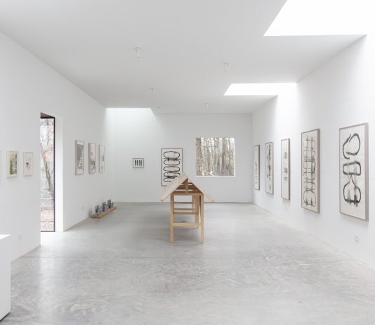 “Biodiversità alla base di ogni sviluppo urbano”. Il pensiero dell’architetto Steven Holl nella mostra a New York