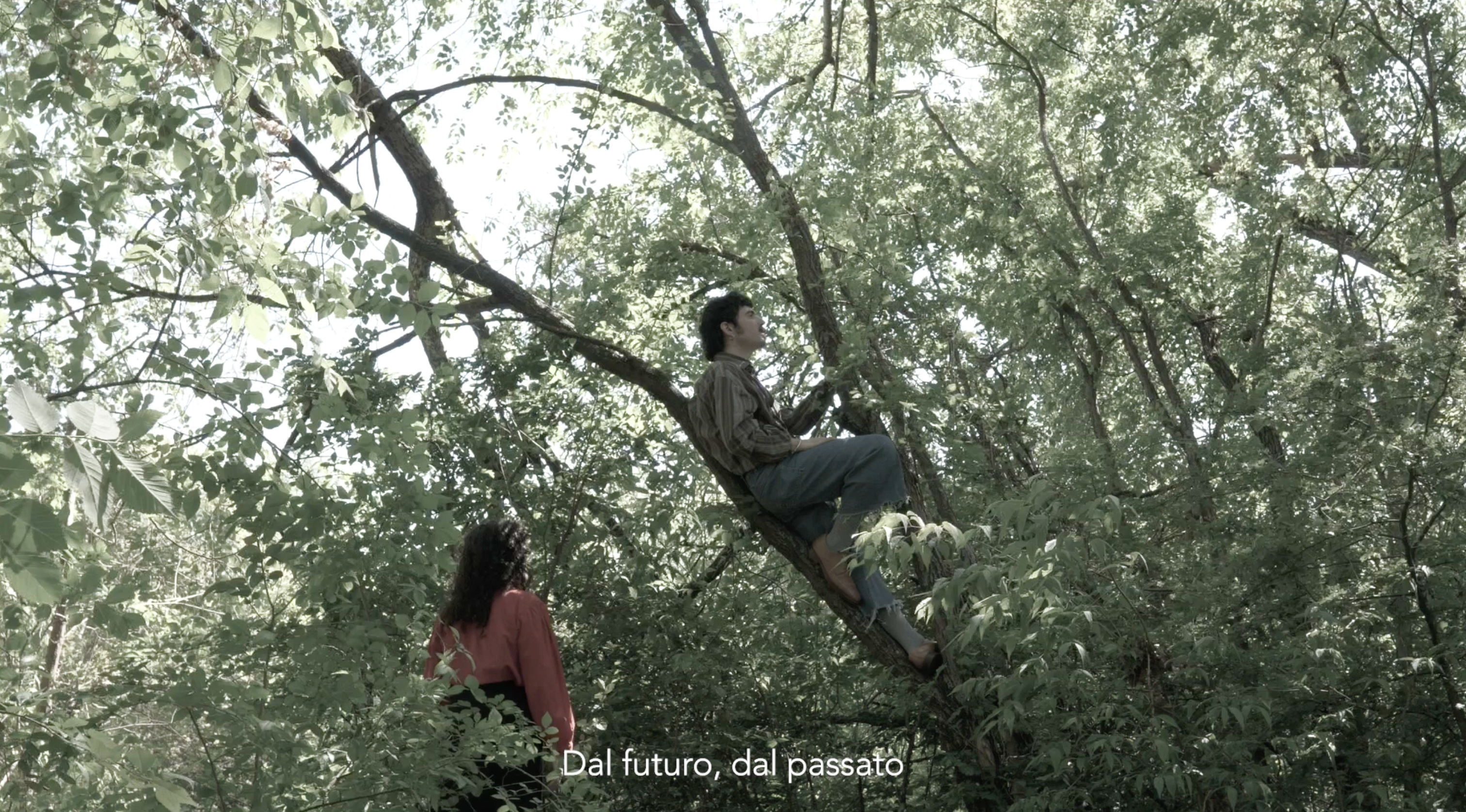Eleonora Deligio, Alberto Martino, Still from (video series) Amacangia III, 2023, video, color, sound, 2’30”