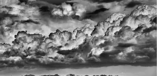 MIA Photo Fair 2024, dal collezionismo italiano ai fotografi che raccontano il cambiamento