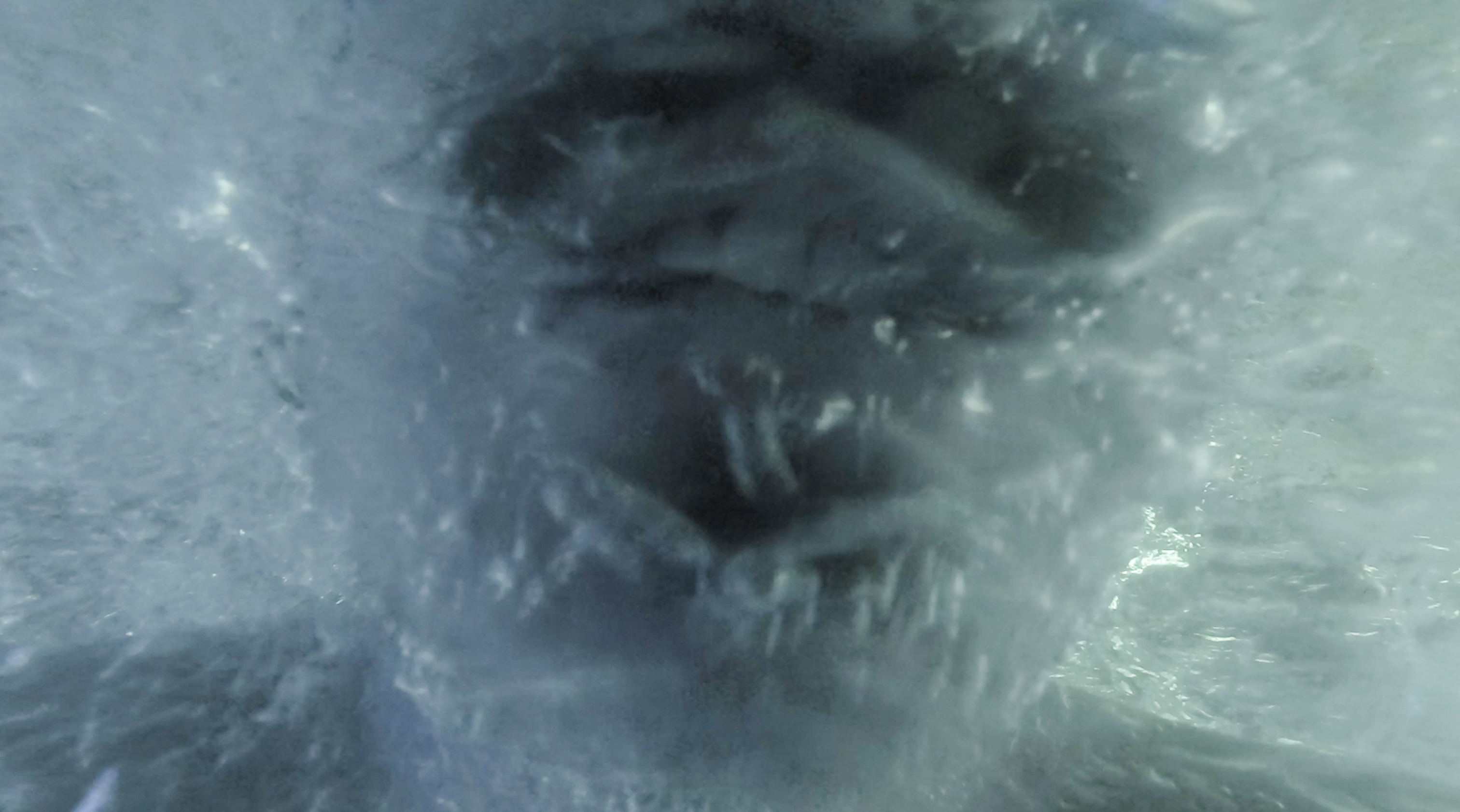 Eleonora Deligio, Alberto Martino, Still from (video series) Amacangia III, 2023, video, color, sound, 2’30"